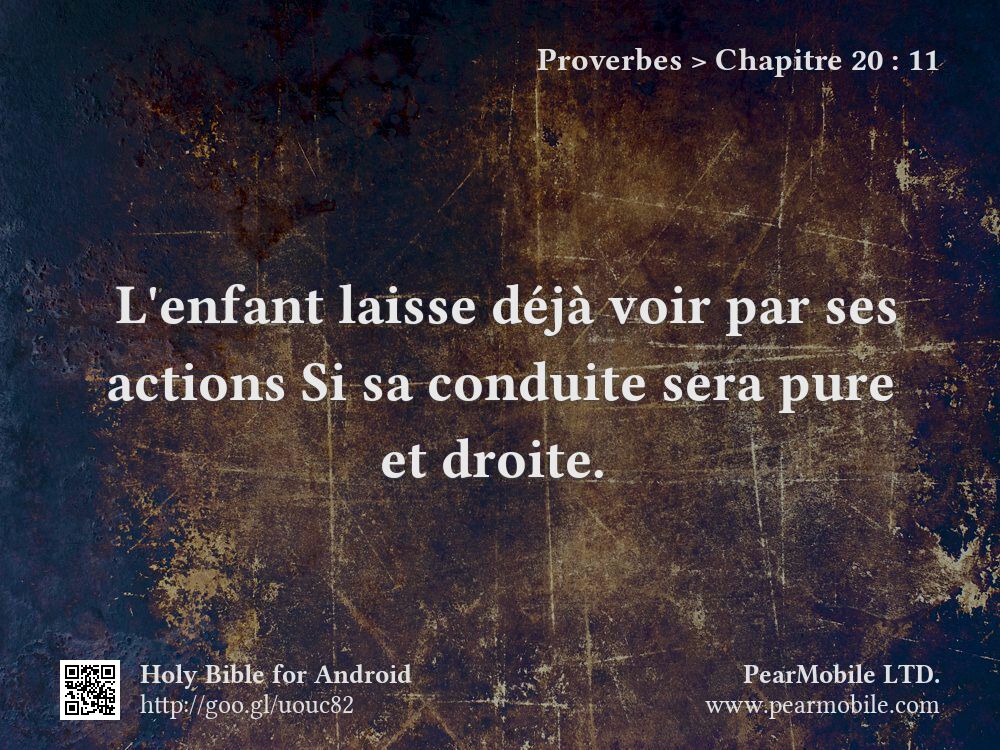 Proverbes, Chapitre 20:11